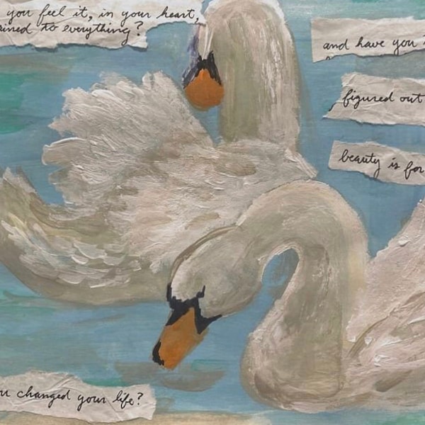 Swan Acrylic Print with quote from Mary Oliver