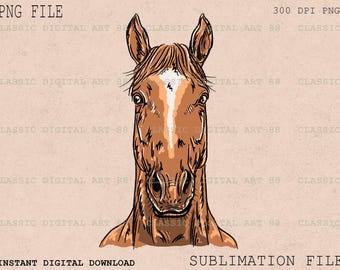 May include: A close-up illustration of a brown horse's head with a white stripe down the face. The horse is looking directly at the viewer.