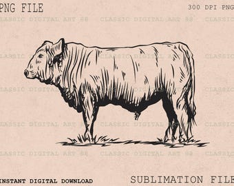 Western Cow PNG, Hand Drawn Farm Cattle, Sublimation Design (Digital Download)