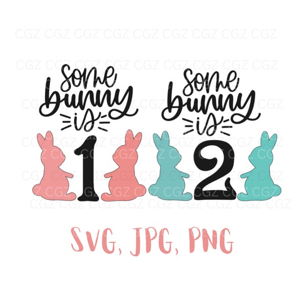 Some Bunny is one Svg, Some Bunny is Two SVG, Easter svg, Birthday Shirt SVG, Bunny 1st Birthday svg, Bunny Turning One, Easter Birthday PNG