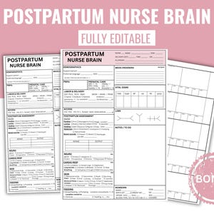Peut inclure: Ensemble de formulaires "Postpartum Nurse Brain" imprimables et entièrement modifiables. Les formulaires sont blancs avec du texte noir et des accents roses. Le texte comprend des sections pour les données démographiques, les soins prénataux, le travail et l'accouchement, et les informations sur le nouveau-né.