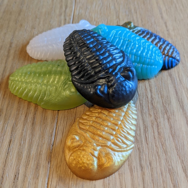 Trilobite Fridge Magnet