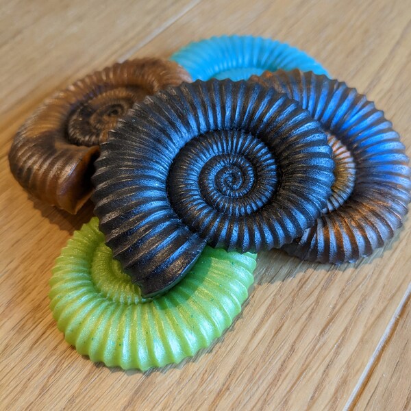 Ammonite Fridge Magnet