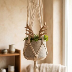 May include: A cream-coloured macrame plant hanger suspending a speckled grey ceramic pot. The pot contains a green leafy plant and features two light brown, smooth, antler-shaped decorative inserts protruding from the top of the foliage.