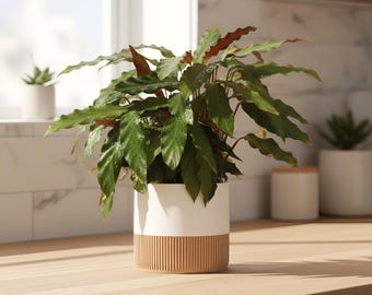 Moderner Blumentopf mit Selbstbewässerung – inkl. gewerblicher Lizenz 3D Druck Datei