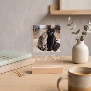 Peut inclure: Un pr&eacute;sentoir photo en acrylique transparent avec une photo de deux chats, un tabby et un noir, avec les noms "Leo & Phia" en &eacute;criture blanche. Le pr&eacute;sentoir repose sur une base en bois. Un collier dor&eacute; et des livres sont en arri&egrave;re-plan.