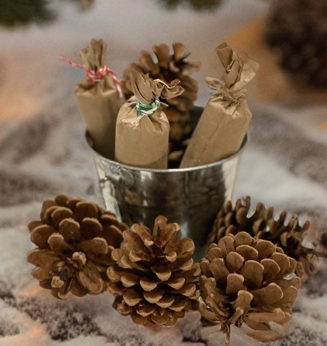 Small Animal. Christmas Gift. Foraging Toy. Rat Toys. Ferret Etsy