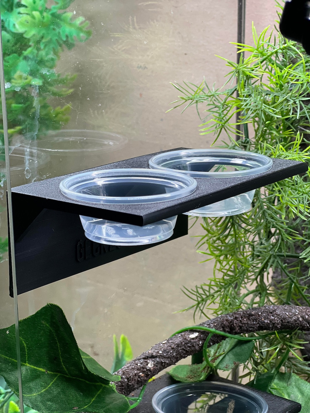 Reptile Feeding Ledge 1oz includes Etsy