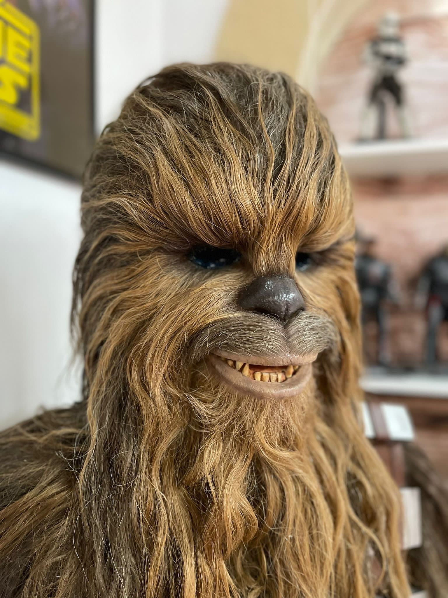 Máscara de Chewbacca é vendida por R$ 333 mil em leilão nos EUA - TV e  Lazer - Extra Online