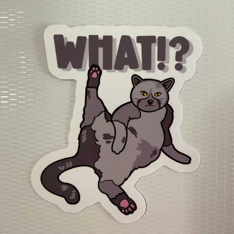 以下が含まれることがあります： 驚いた表情をした灰色の猫が、後ろ足で立ち、1本の足を上げて座っている。猫は直接見ている。猫の上に「WHAT!?」という文字が書かれている。