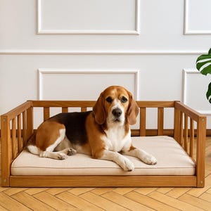 Peut inclure: Un beagle se repose sur un lit pour chien en bois avec un coussin beige. Le lit a un design à lattes sur les côtés et est en bois clair. Le chien a des poils bruns, noirs et blancs.