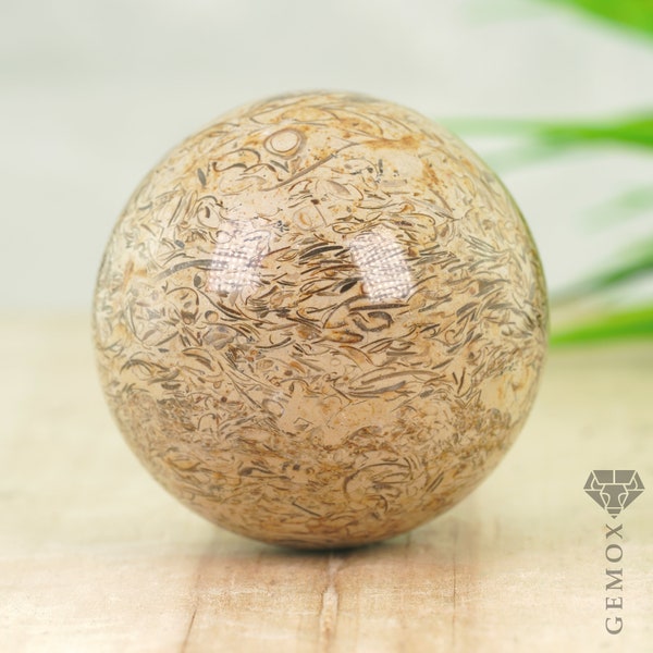 Dinosaur Bone Natural Fossil Ball 218g. Awesome Carved Sphere Fossilized Plesiosaur Bone Beige Polished Crystal Ball 54mm.