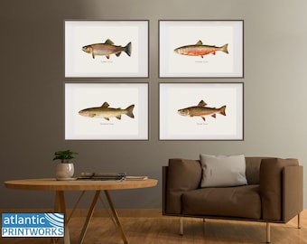 Printable Freshwater Fish Art Prints, Set of 4, Fishing Wall Art, Living Room Décor, Fish Watercolor Paintings, Trout Art, Father's Day Gift