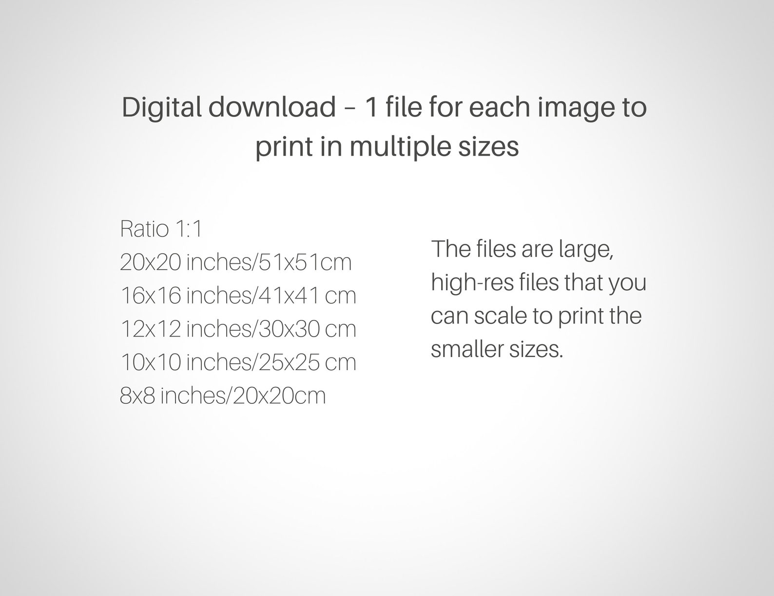 Printable Flower Wall Art, Set of 4, Floral Prints, Living Room Wall