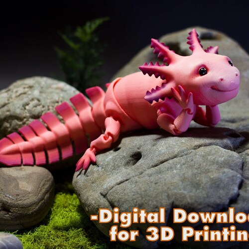 Articulated Axolotl .STL Digital File Printinplace Body Etsy