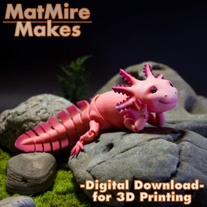 Articulated Axolotl .STL Digital File for 3d Printing, Print-in-Place Body, Snap-Fit Head, Cute Flexi