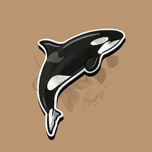 Orca Sticker