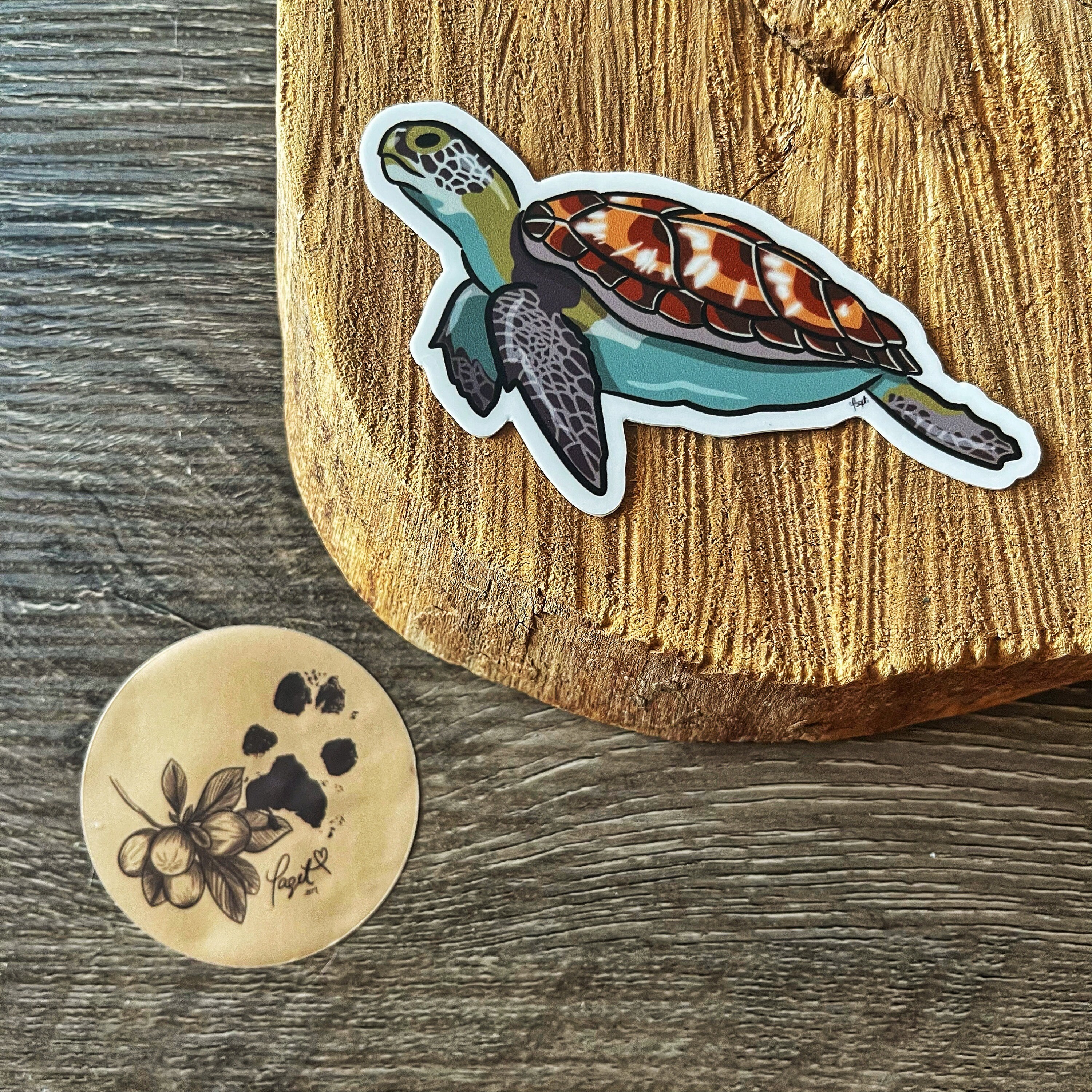 Turtle Name Sticker Sea Turtle Sticker - Etsy