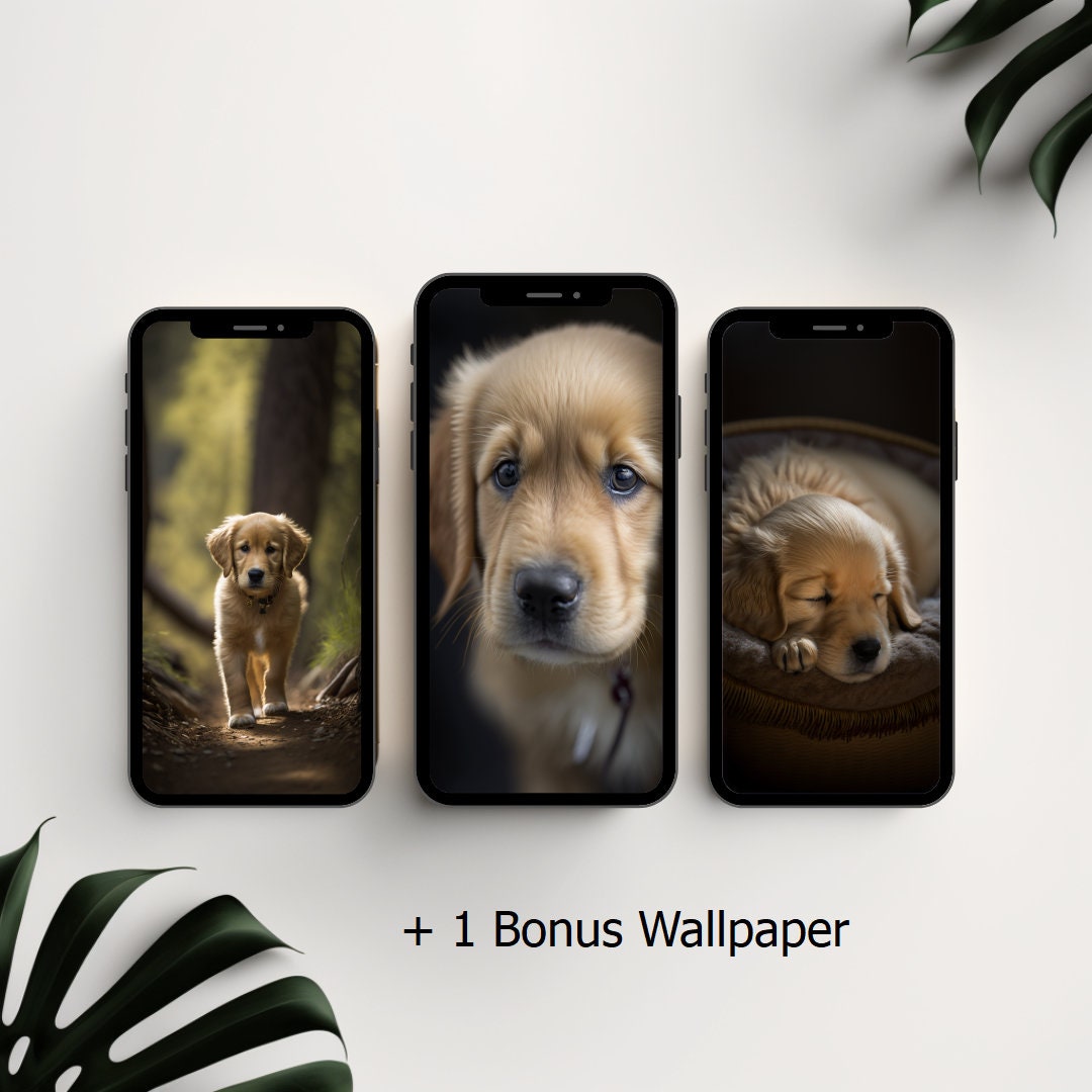 Golden Retriever Puppy Phone Wallpapers, Bundle 31, iPhone Lock Screen
