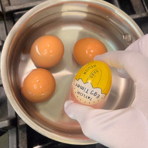 Vintage Automatic Electric Hankscraft Cooker Egg Maker Orange