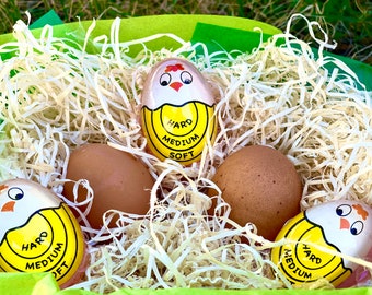 Eieruhr für gekochte Eier – Eieruhr mit Farbwechsel für weiche, mittelharte und hartgekochte Eier | Küchenhelfer Geschenk