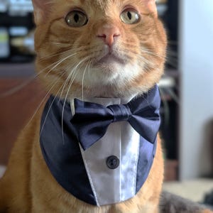 Cat Tuxedo bandana with bowtie for weddings, cat birthday, photoshoot