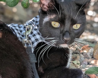 Arnés para gatos hecho a mano, con rastreador GPS y bolsillo con cremallera, algodón reciclado.