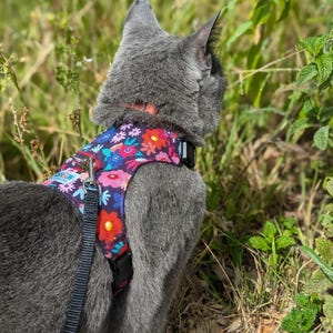 Puede incluir: Un gato gris con un arnés y una correa floral, mirando hacia la derecha. El gato está de pie en un área cubierta de hierba.