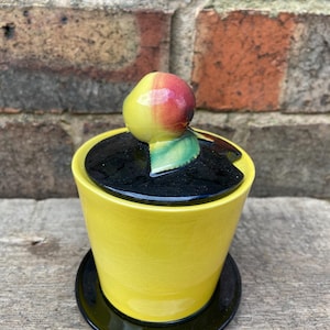 May include: A yellow ceramic sugar bowl with a black lid and a painted peach on top. The bowl has a black base.