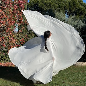 Chiffon Dance Wings: Ether Performance Wear
