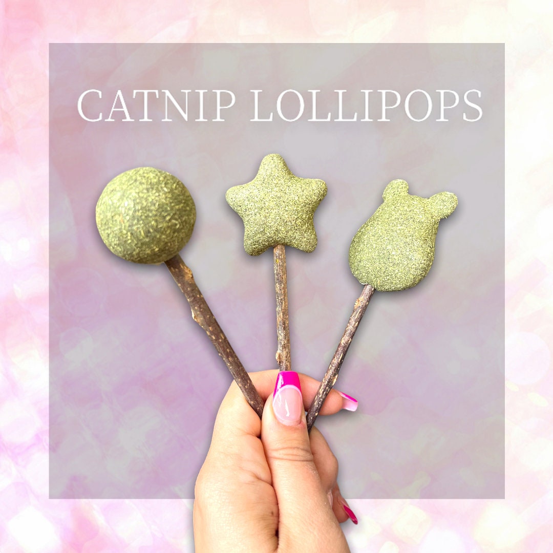 Catnip Lollipops Etsy