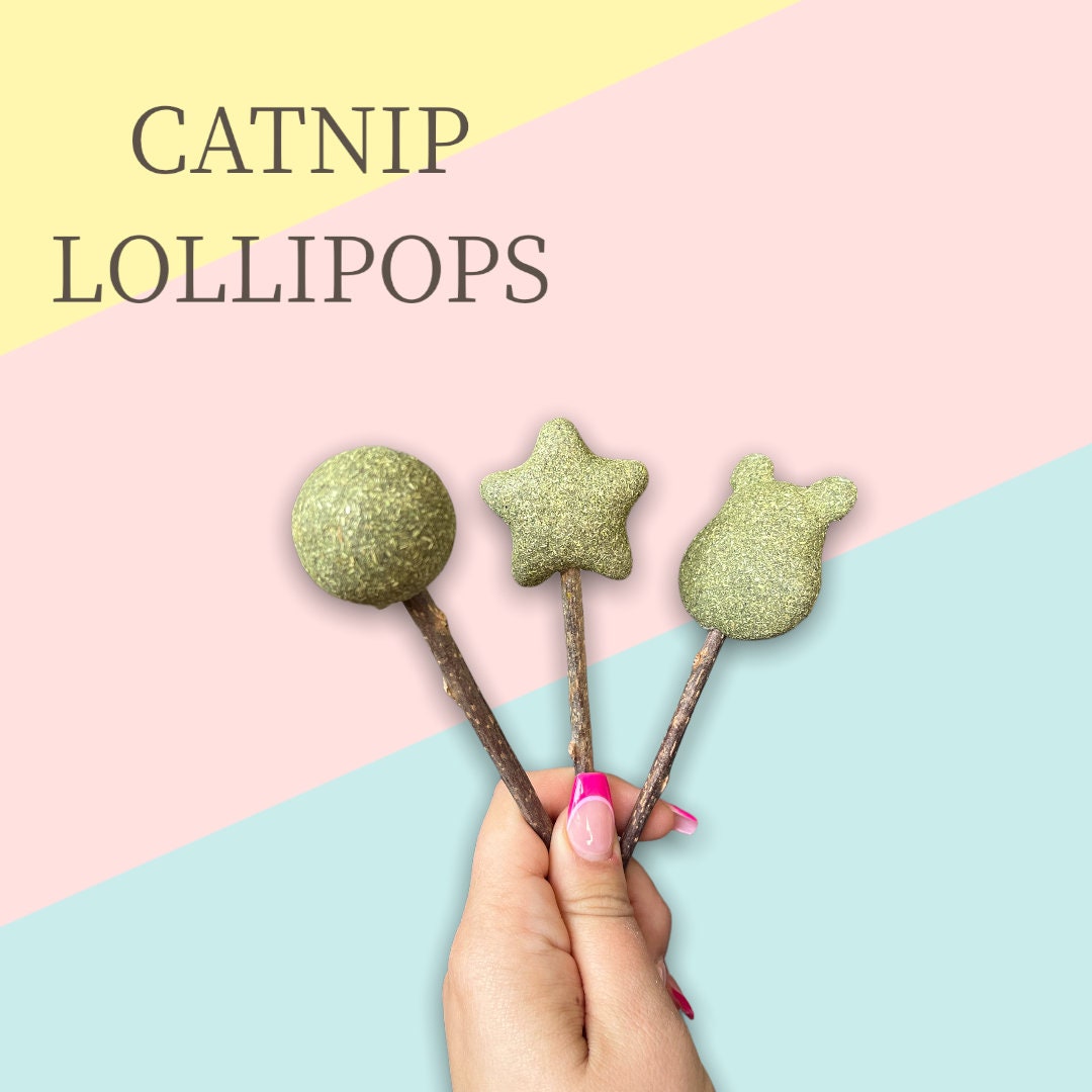 Catnip Lollipops Etsy