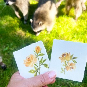 10 Mini Thank You Cards, Rose Note Cards - Ideal for Gift Giving - Etsy