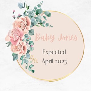 Customizable Pregnancy Announcement, Baby Announcement, Digital Baby Announcement, Social Media Pregnancy Announcement