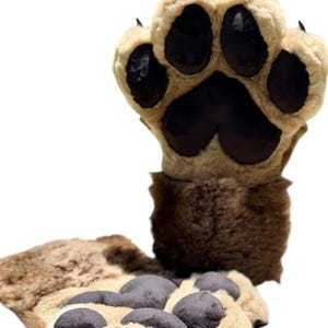 Brown and Beige Paws with Claws