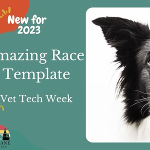 Vet Tech Week Amazing Race Instructions & Templates, vet tech week gift, practice manager, veterinary medicine, vet med, veterinary tech