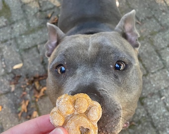 Gâteries pour chiens au beurre d'arachide