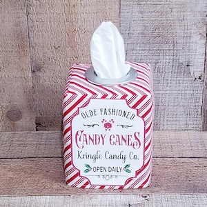 ポインセチアの装飾、ホリデーデコレーション、クリスマス