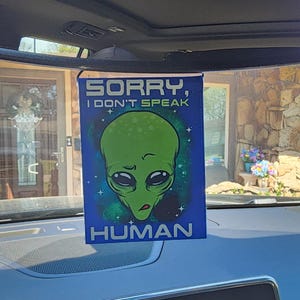 Alien Car Rearview Mirror Hanger: Funny Auto Decor (4x5 in)