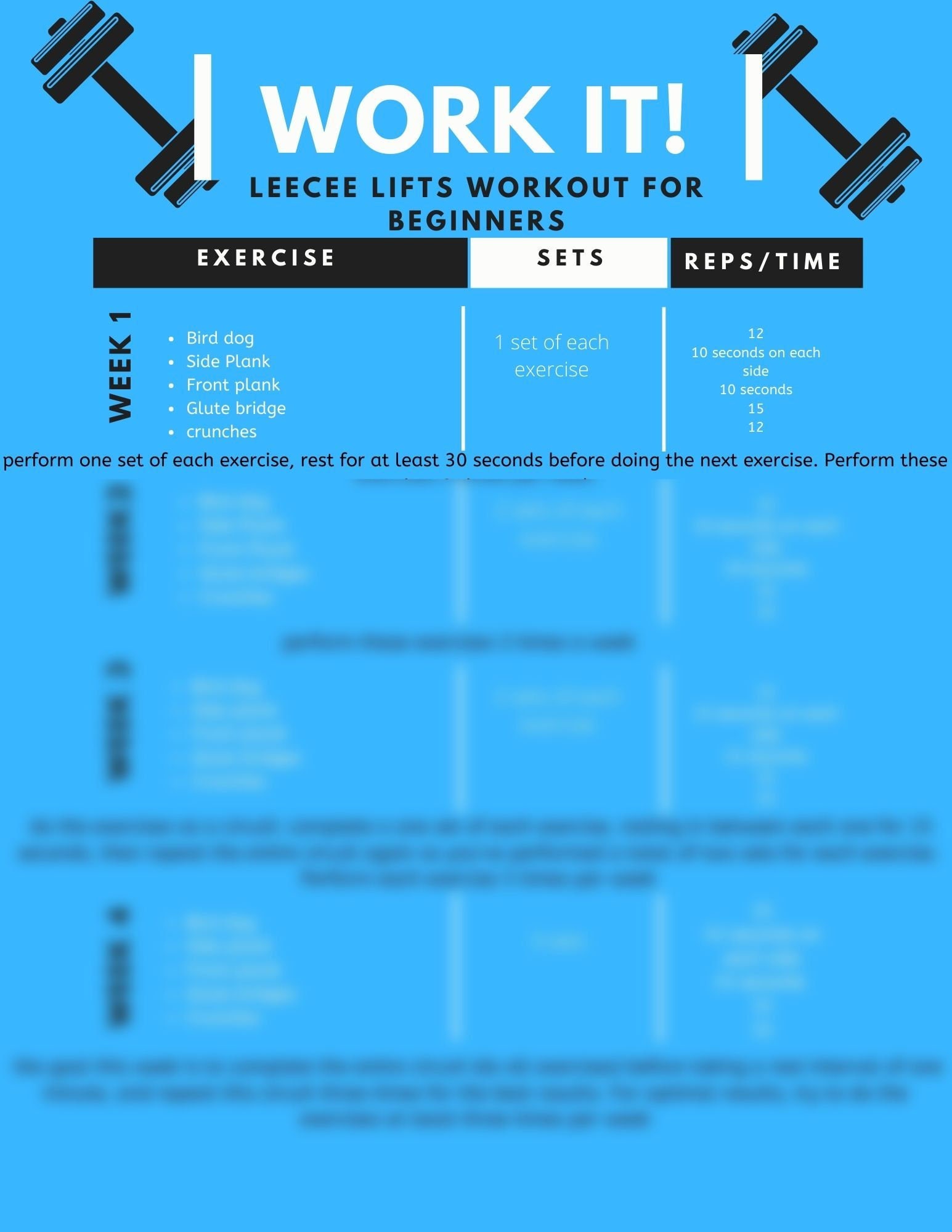 4 Week Workout Program for Beginners - Etsy