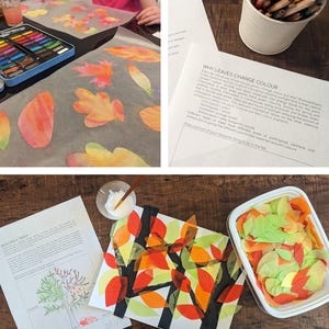 Seasons Tree Art Project | Zelfstudie decoupage voor kinderen (afdrukbaar digitaal werkblad)
