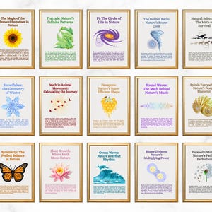 15 Math in Nature Posters, math class posters, math classroom decor, science posters, math facts poster, middle school decor, science facts