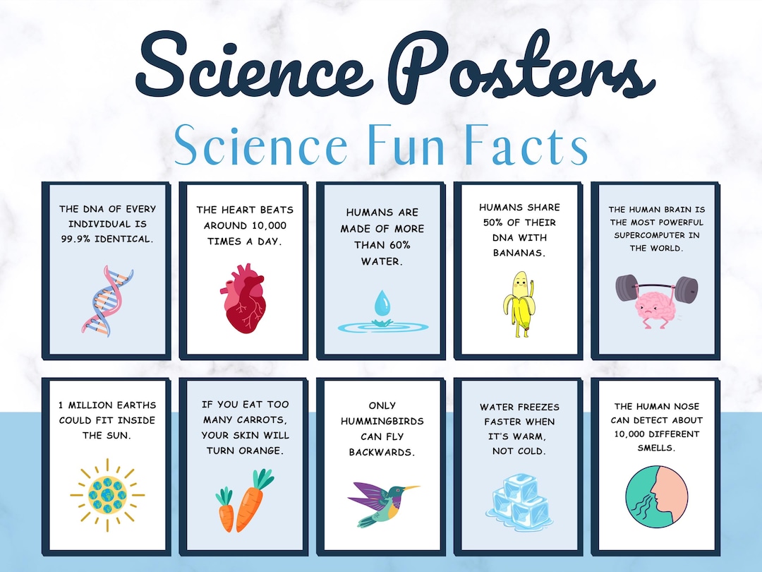 Fun Facts Science Posters, Science Classroom Decor, Science Posters ...