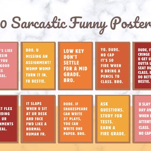 Sarcastic Funny Classroom Posters, Middle School Teacher Posters, High School Posters, Retro Classroom Decor Posters, Funny Class Posters