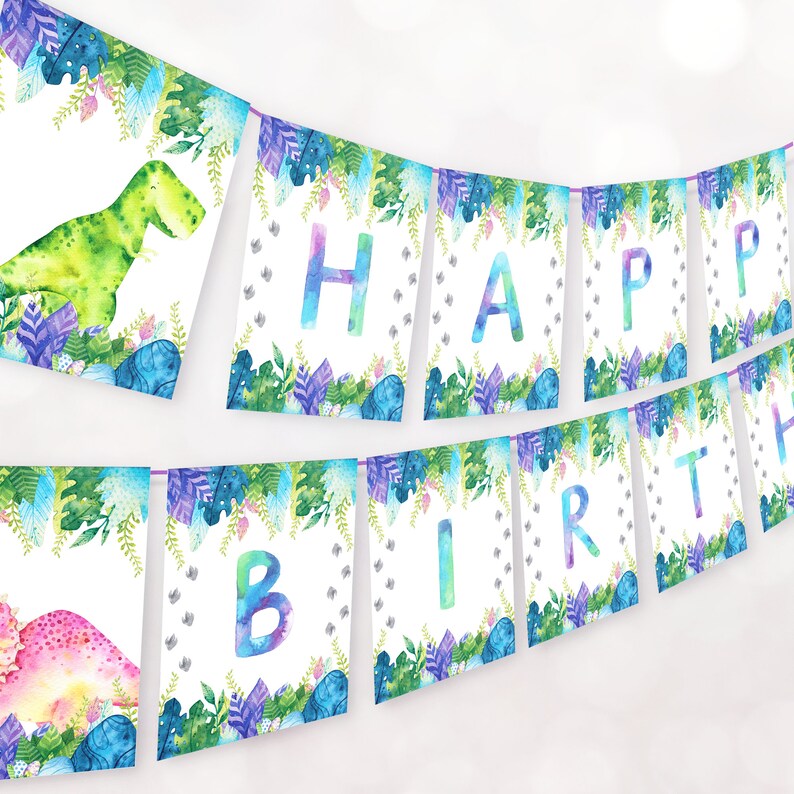 BIGKEOKI Watercolor Dinosaur Birthday Party Supplies 4th India
