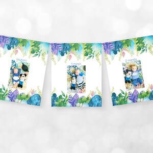 Dinosaurs First Birthday Photo Banner - digital birthday supplies – dinosaurs T-Rex Jurassic - printable download - party decoration
