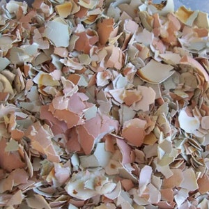 May include: A close-up of a bowl filled with crushed eggshells. The shells are a mix of white and brown, and they are broken into small pieces.