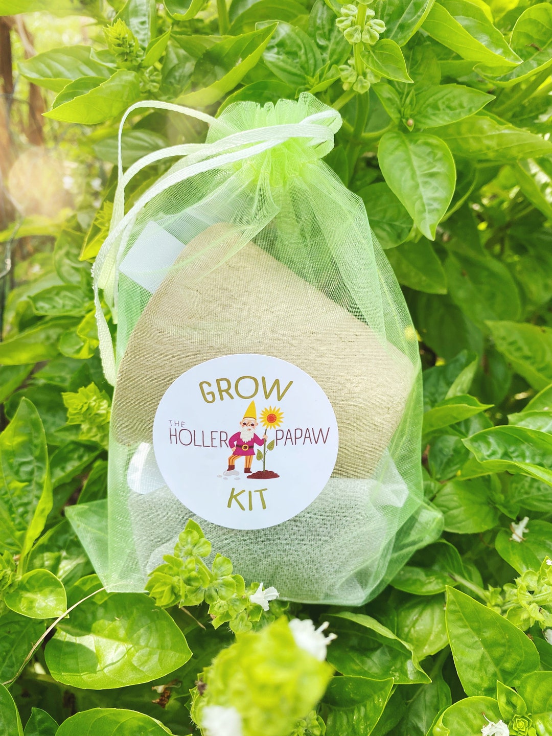 Indoor Kitchen Herb Grow Kit Gift Set - Organic Heirloom Seeds - Grow ...