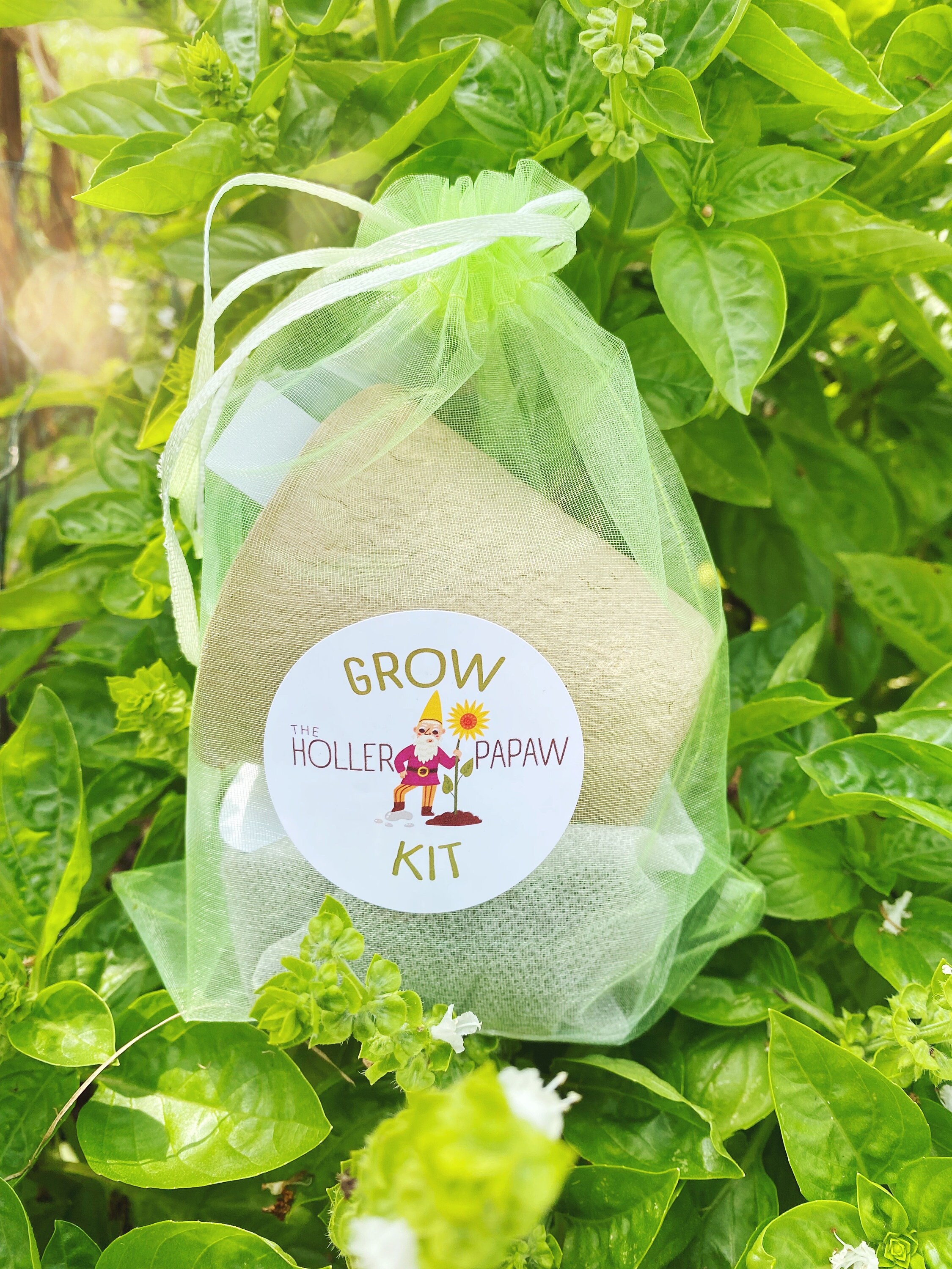 Indoor Kitchen Herb Grow Kit Gift Set – Heirloom Seeds – Free Shipping!