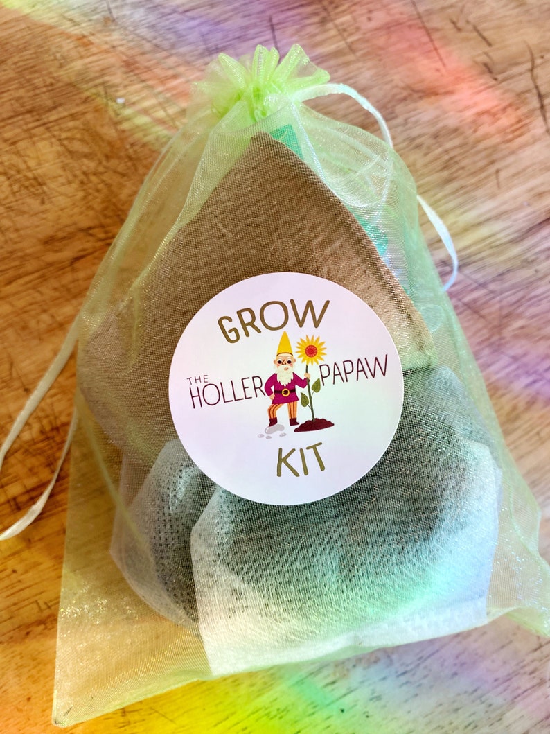 Cherry Pepper Growing Kit – 2 Kits, Wiri Wiri Chili Peppers, 100K